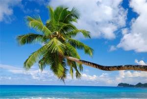 Seychelles Attractions