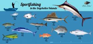 Sportfishing in the Seychelles Islands